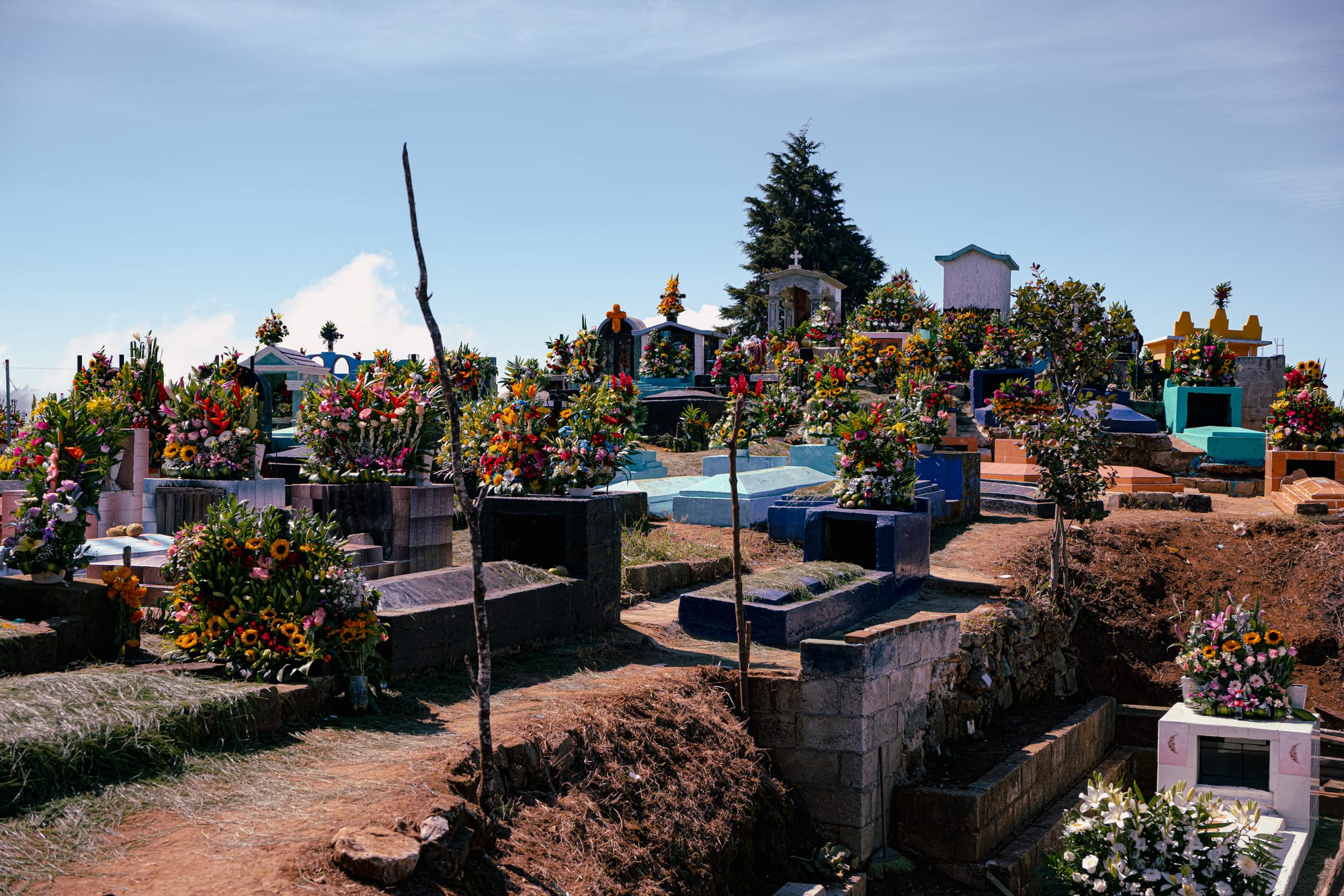 Día de Muertos at Zinacantán Cemetery in Zinacantán, Chiapas, Mexico, hillside cemetery with above ground graves arranged across uneven terrain, dense floral arrangements placed on tombs, marigolds sunflowers roses and mixed flowers defining the landscape, mountain views and open sky surrounding the Day of the Dead cemetery near San Cristóbal de las Casas
