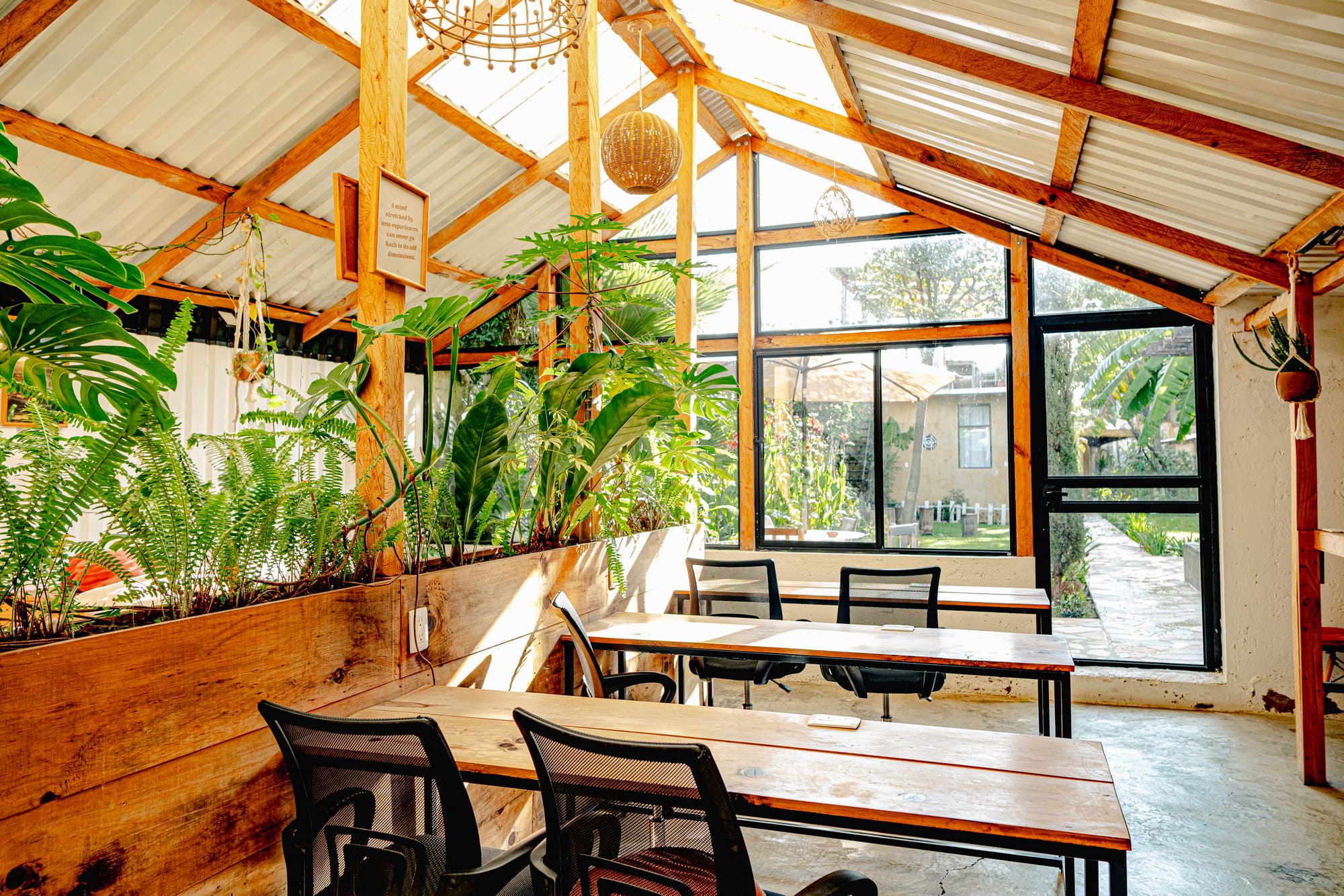 Co404 digital nomad coliving and coworking space in San Cristóbal de las Casas, showing a bright, plant-filled workspace with wooden desks, office chairs, hanging lamps, and large windows opening onto a garden courtyard