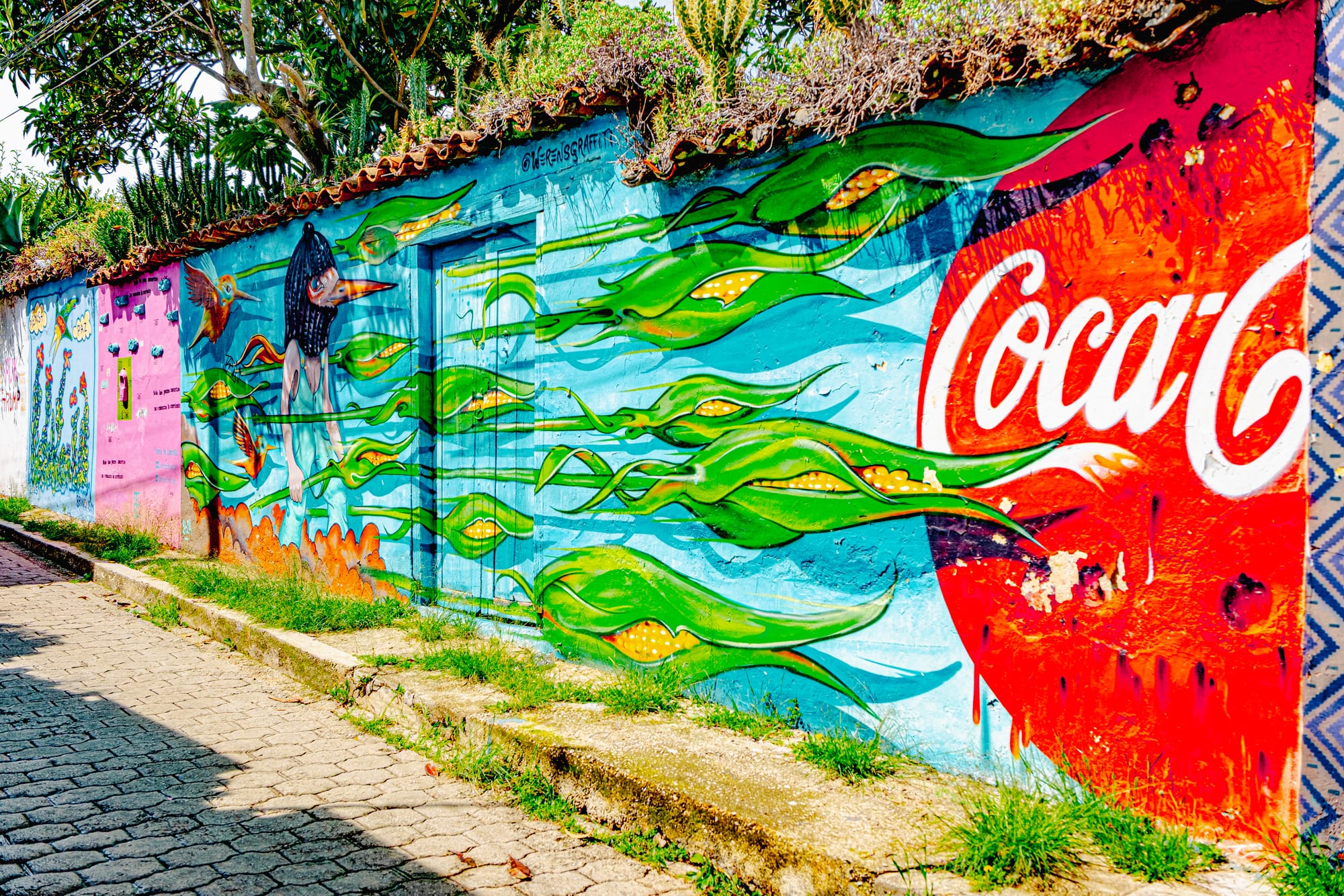 Colorful street mural in San Cristóbal de las Casas depicting flowing green corn plants and birds moving across a blue wall, merging into a worn Coca-Cola logo, painted along a cobblestone street with grass and trees above the wall
