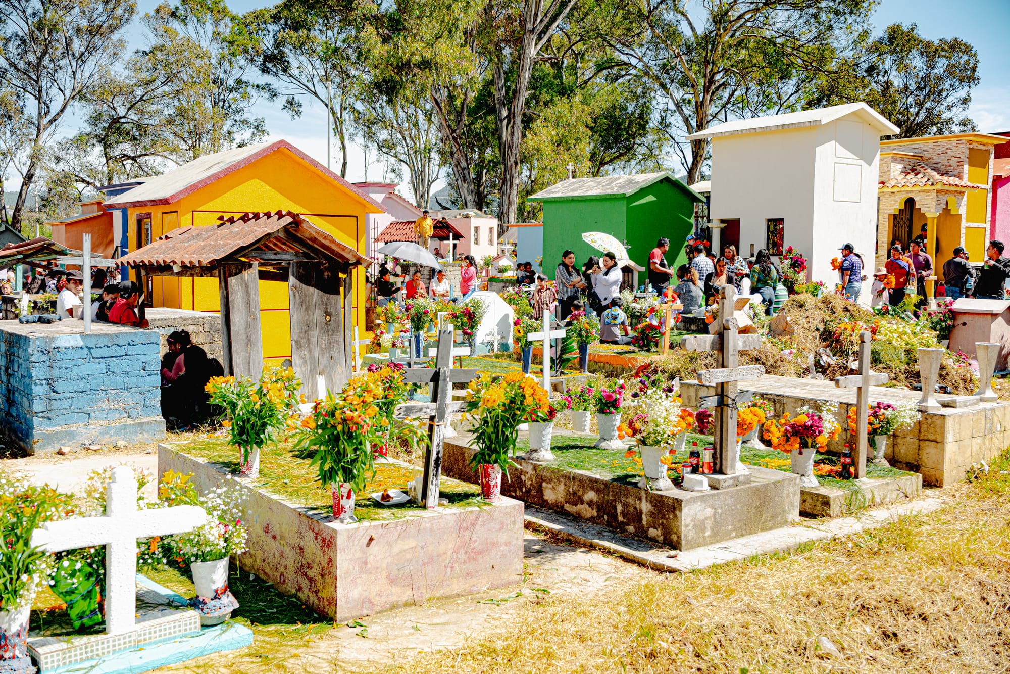 Municipal Pantheon in San Cristóbal de las Casas during Día de los Muertos, with families gathered among brightly painted tombs covered in flowers, candles, and offerings under the midday sun