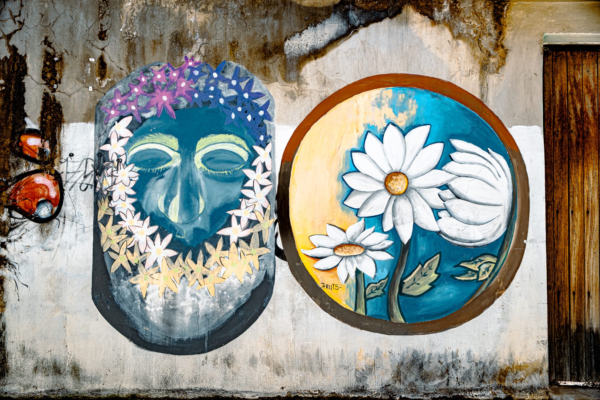 Digital nomad life in San Cristóbal de las Casas Mexico, symbolic street art mural in the Chiapas Highlands, painted faces and flowers on weathered wall, creative culture in San Cristóbal, indigenous influenced art scene, walkable historic city for digital nomads and remote workers