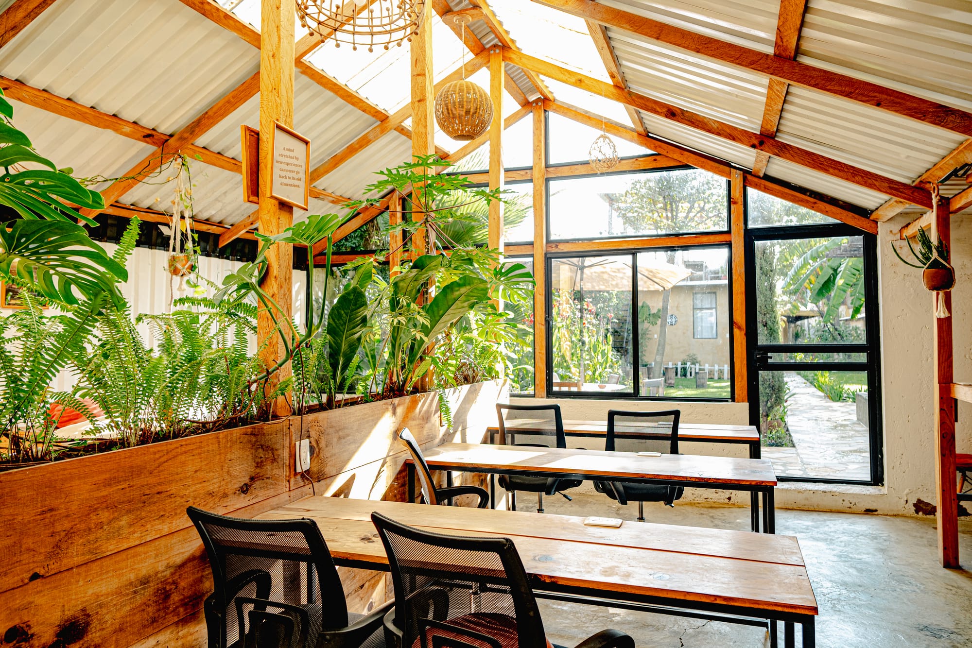 Digital nomad life in San Cristóbal de las Casas Mexico, Co404 coworking and coliving space in the Chiapas Highlands, plant filled workspace with wooden tables and natural light, remote work environment for digital nomads, quiet coworking space in San Cristóbal, creative and slow work atmosphere in southern Mexico