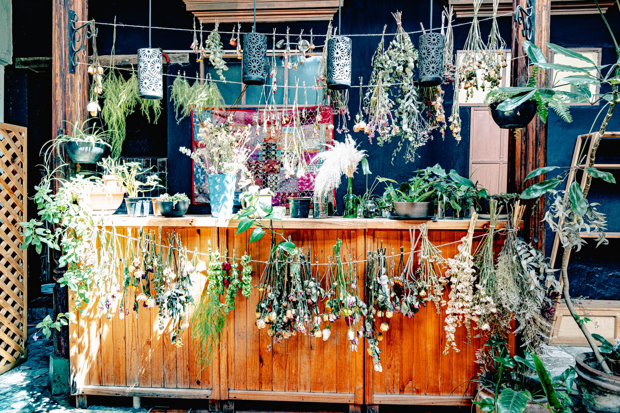 Digital nomad life in San Cristóbal de las Casas Mexico, dried herbs and plants hanging in creative interior space in the Chiapas Highlands, everyday herbal practice and slow living culture, plant filled workspace, creative atmosphere for digital nomads and remote workers, walkable historic city in southern Mexico