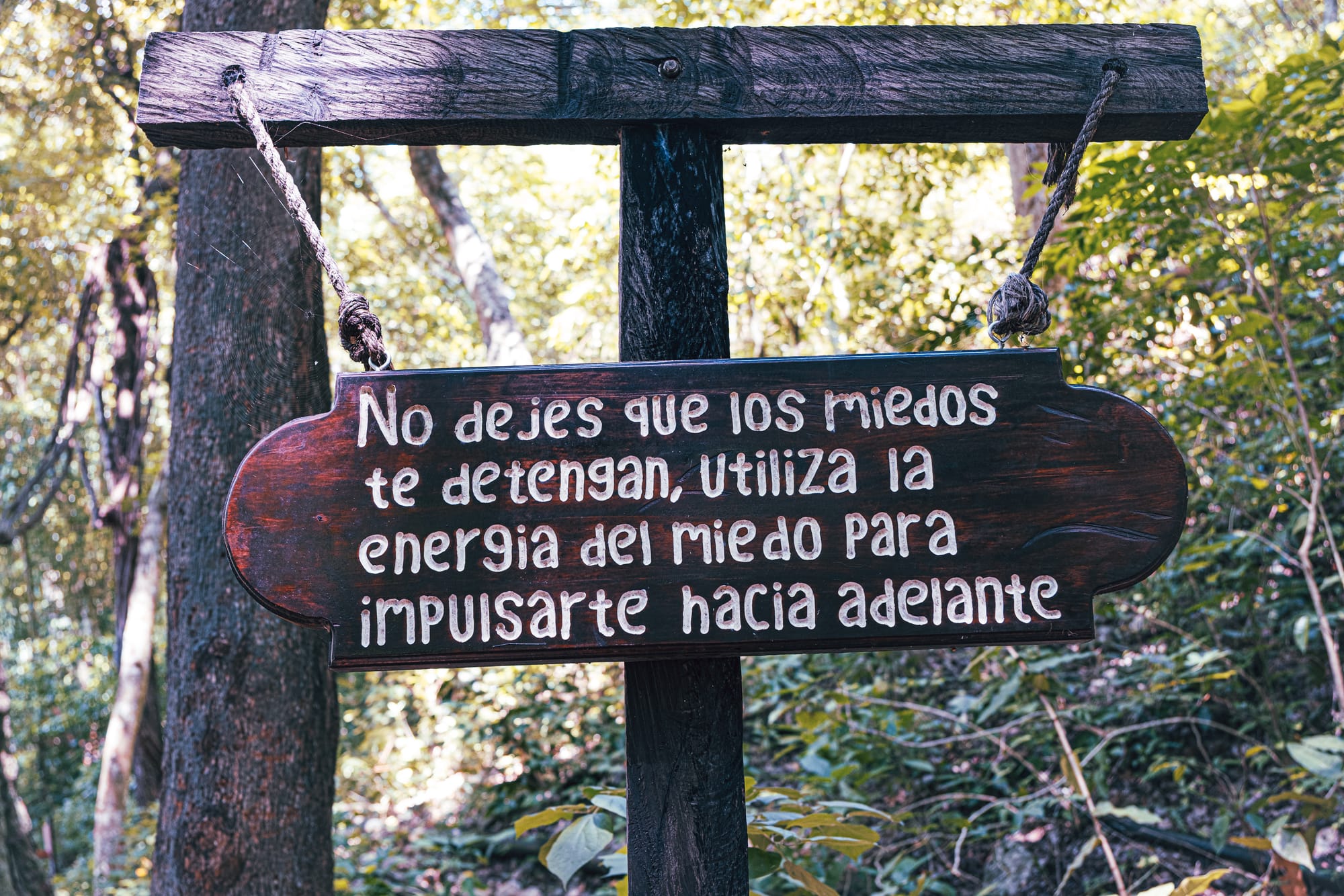Wooden sign along the El Chiflón trail near San Cristóbal de Las Casas, Chiapas, Mexico, featuring a Spanish motivational message surrounded by forest, photographed on the walking path through the El Chiflón waterfalls park, a popular day trip often combined with Montebello Lakes