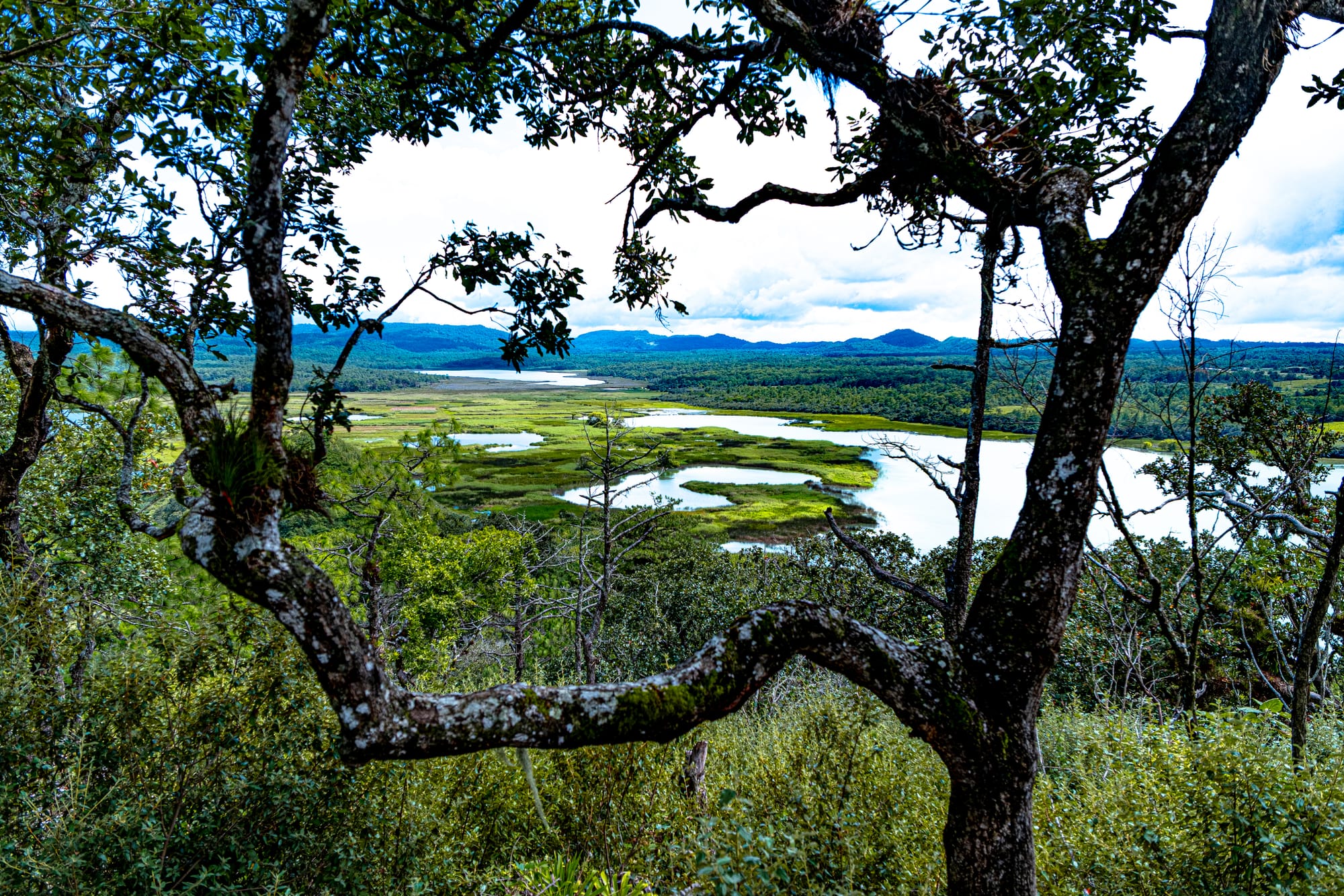 View from a forested overlook at Montebello Lakes in Chiapas, showing wetlands, interconnected turquoise lakes, and distant mountains near the Guatemala border