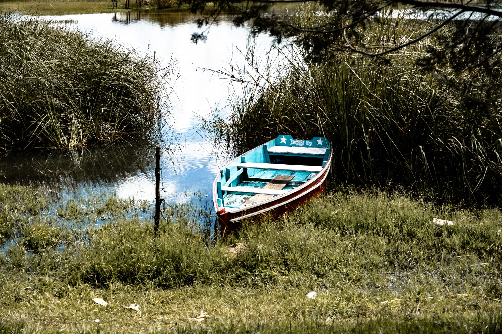 Red and blue wooden boat in the reeds along the shore of Montebello Lakes in Chiapas, floating in the clear, shallow water near the grassy edge