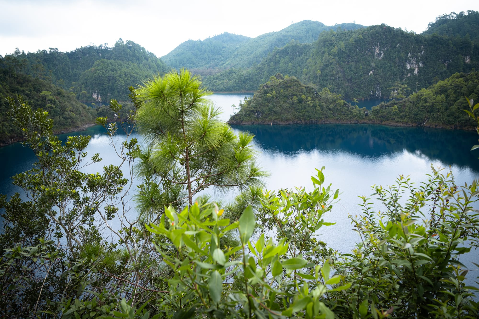 View of Montebello Lakes in Chiapas from a forested overlook, showing deep blue water framed by pine trees and green hills near the Guatemala border