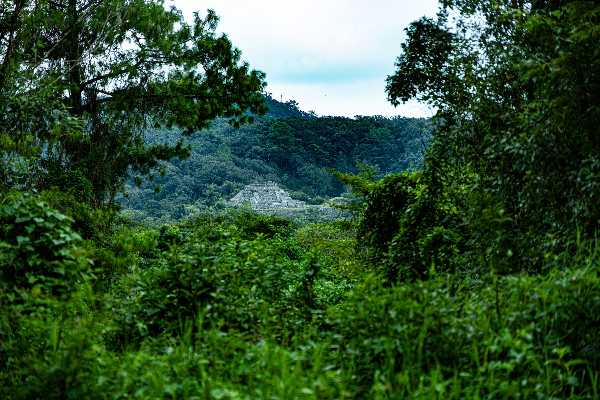 Distant view of the main pyramid at Chinkultic in Chiapas, partially hidden by dense green forest and framed by highland vegetation