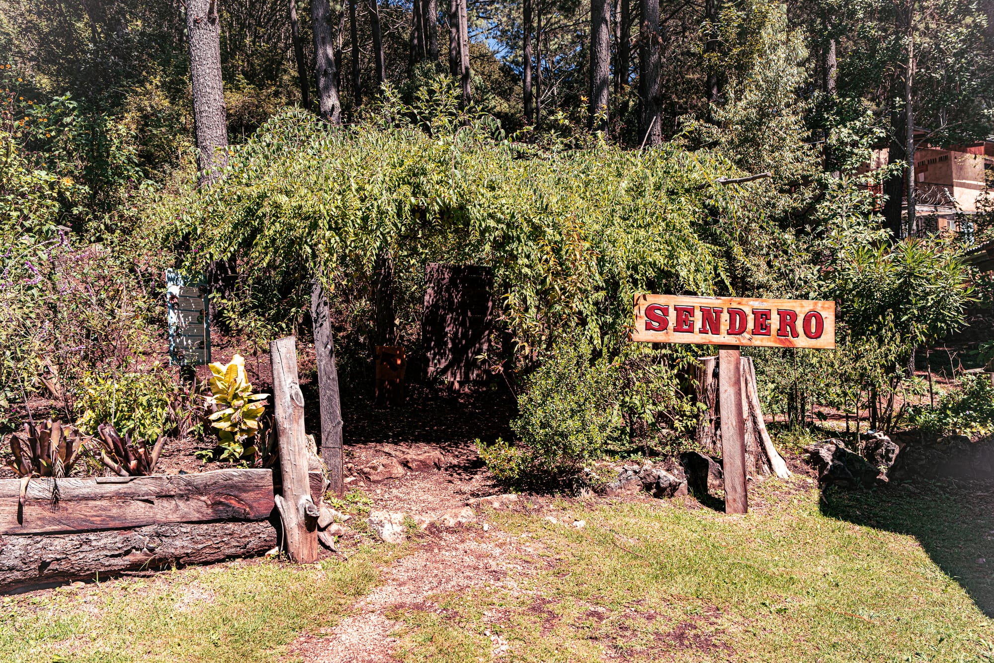 Trailhead at Moxviquil in San Cristóbal de las Casas, with a wooden “Sendero” sign and a shaded path leading into the highland forest