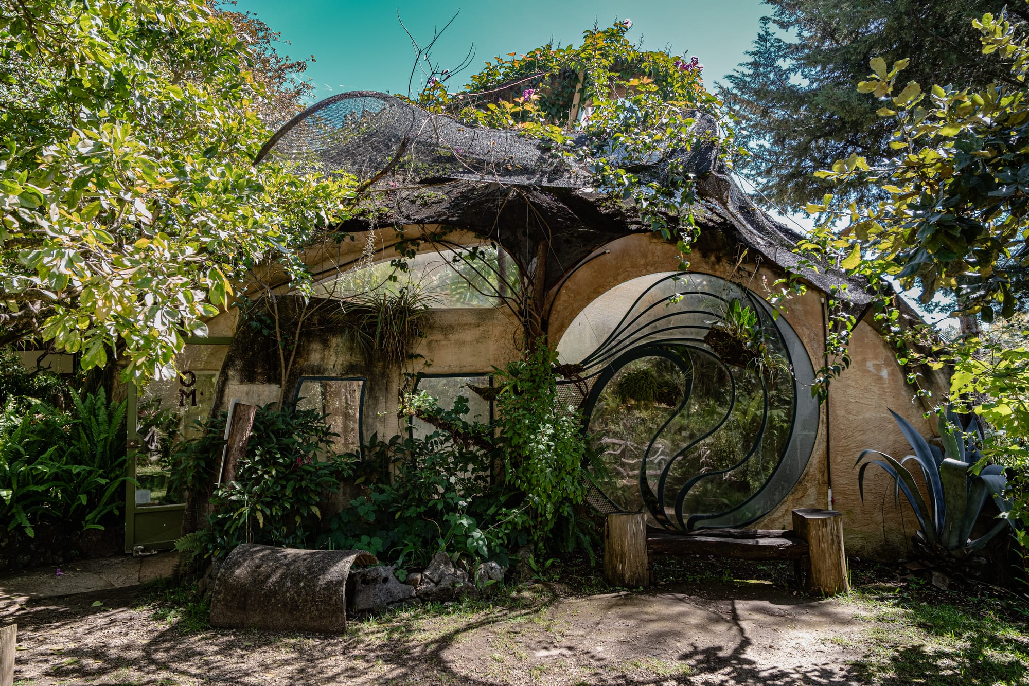 Exterior of the greenhouse at Moxviquil in San Cristóbal de las Casas, with plants growing over its curved earth-and-glass structure and surrounding shaded garden areas