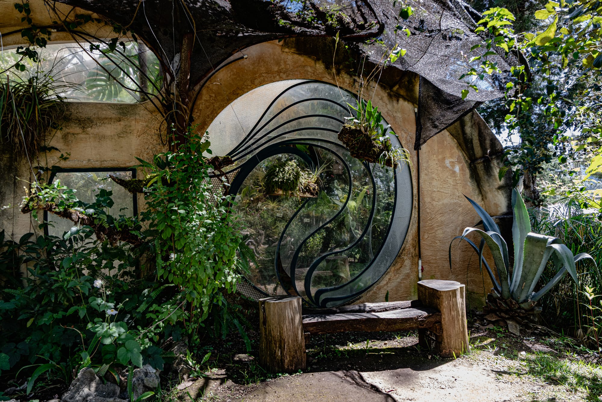 Decorative glass entrance to the greenhouse at Moxviquil in San Cristóbal de las Casas, surrounded by lush vegetation, hanging orchids, and shaded highland plants