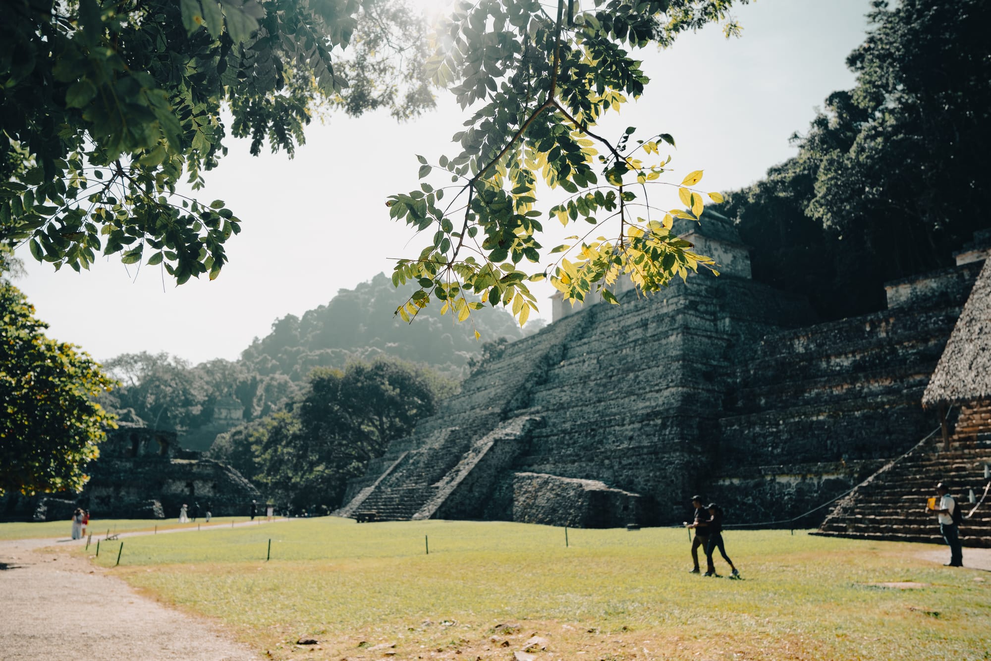 Palenque Mayan ruins Temple of the Inscriptions framed by tree branches and jungle canopy, visitors walking across grassy plaza at Palenque archaeological site in Chiapas Mexico, iconic Maya stepped pyramid surrounded by rainforest near San Cristóbal de las Casas, UNESCO World Heritage Mayan ruins in natural setting