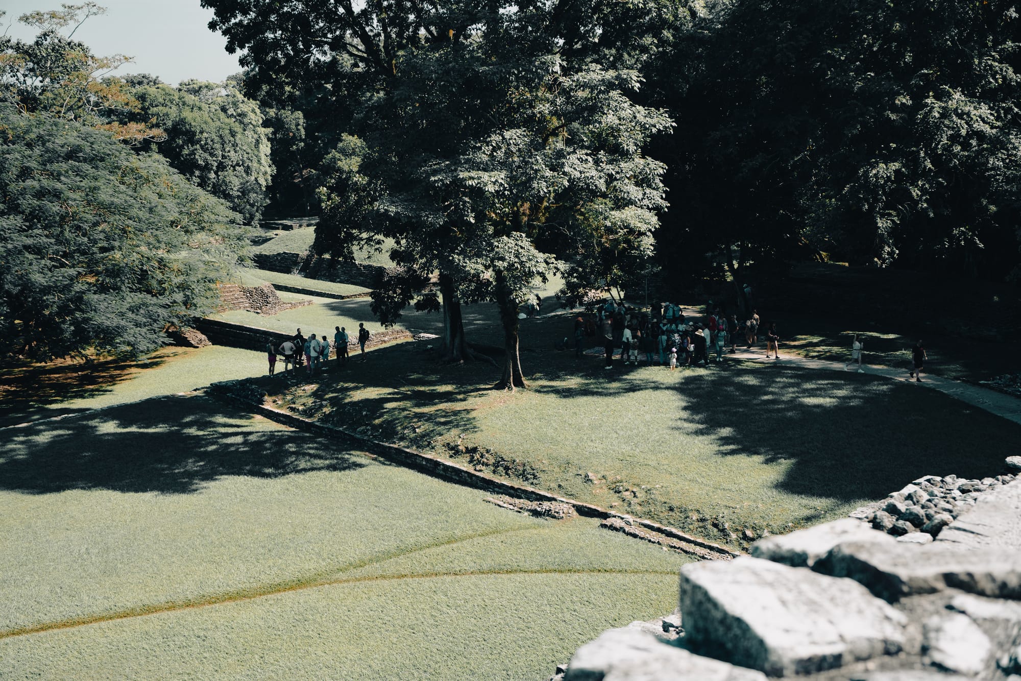 Palenque Mayan ruins central plaza with visitors gathered beneath large trees, shaded grassy courtyards and stone platforms at Palenque archaeological site in Chiapas Mexico, ancient Maya city landscape showing scale and openness of ruins near San Cristóbal de las Casas