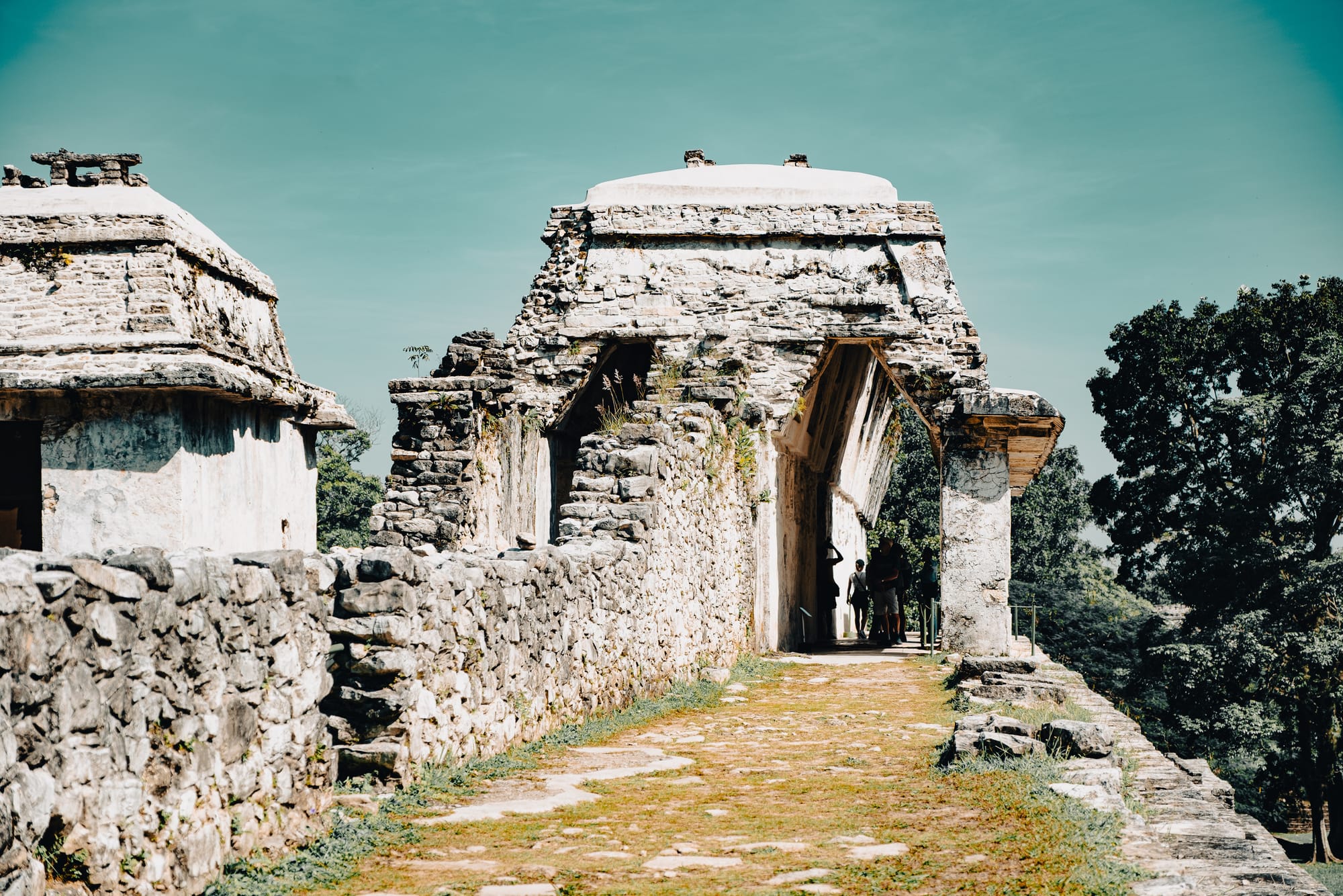 Ancient Maya ruins at the Palenque archaeological site in Chiapas, Mexico, showing a stone corridor and corbelled archway of a restored temple structure surrounded by jungle, highlighting the limestone architecture, ceremonial passageways, and forest setting that make Palenque one of the most important Maya ruins in southern Mexico near Misol-Há and Roberto Barrios waterfalls