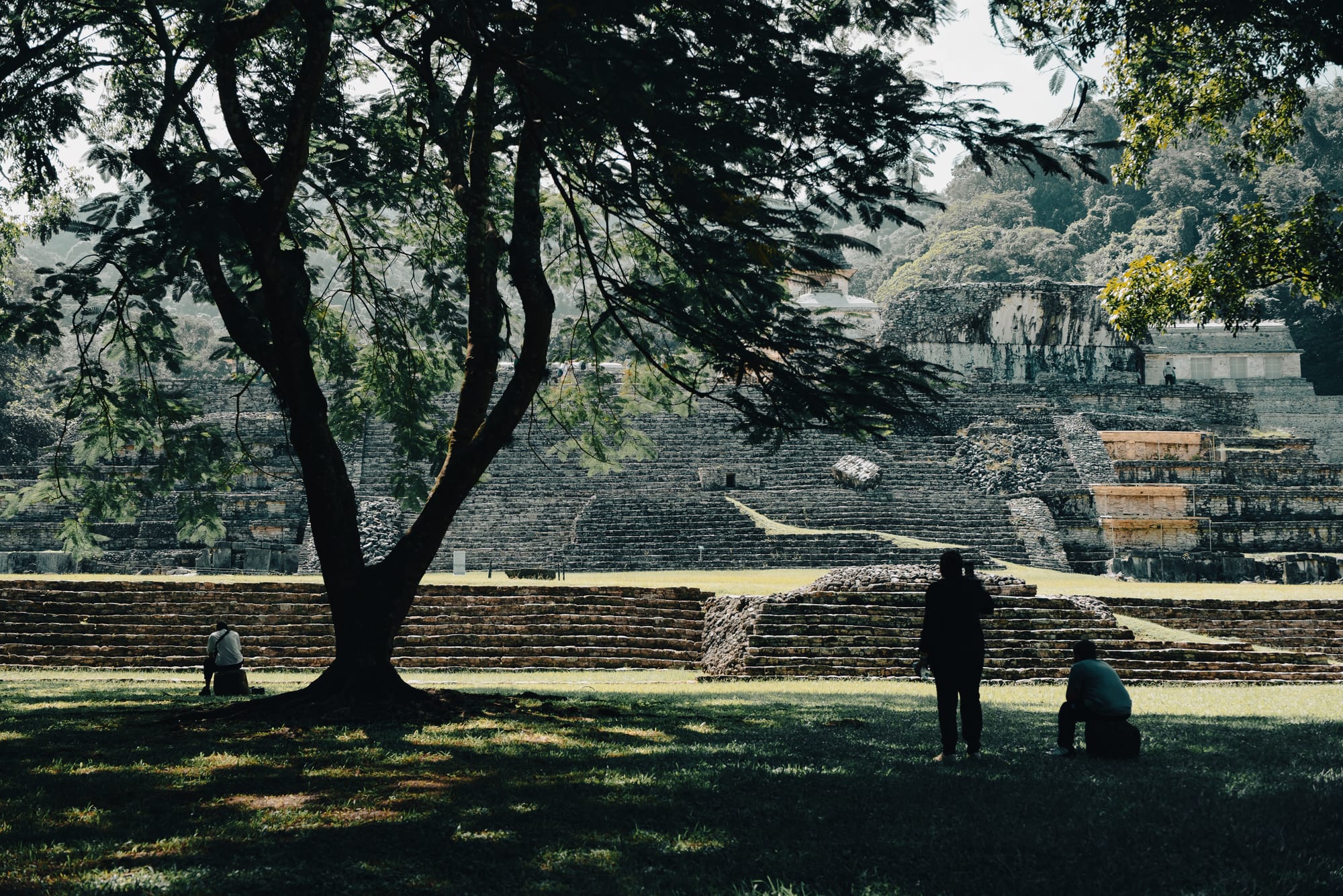 Palenque Mayan ruins viewed from shaded tree canopy with visitors resting in the grass, ancient Maya terraces and stone platforms framed by jungle at Palenque archaeological site in Chiapas Mexico, quiet observation spaces beneath trees near the Palace complex and Temple of the Inscriptions close to San Cristóbal de las Casas