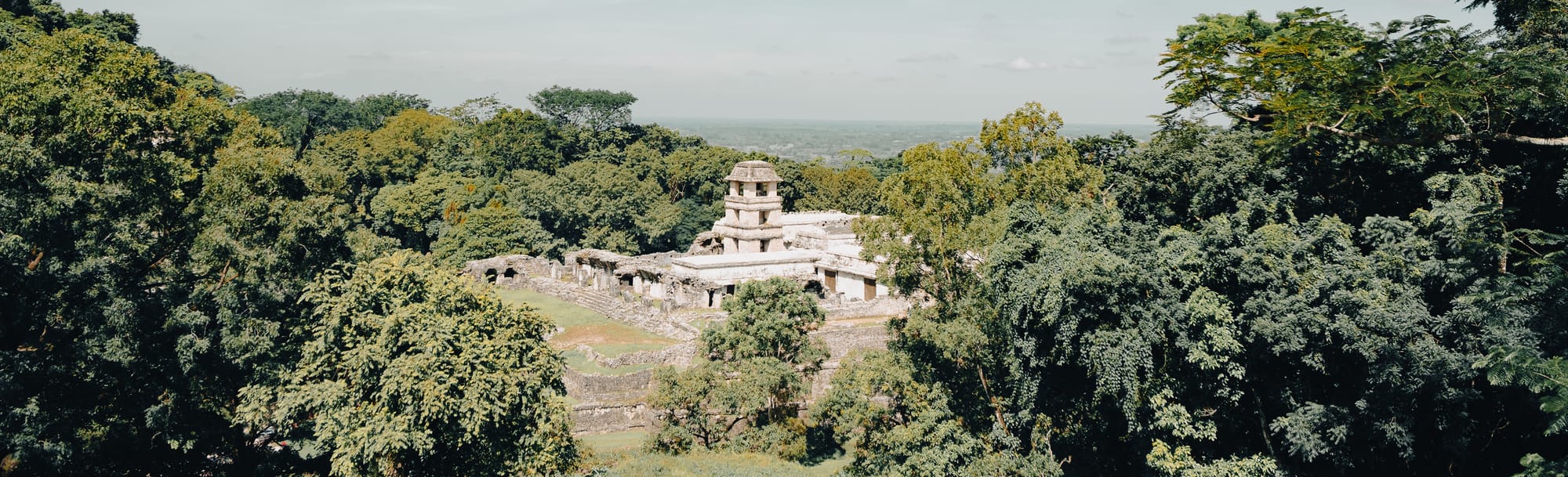 Palenque Mayan ruins aerial view surrounded by dense jungle in Chiapas Mexico, Palace complex and ancient Maya architecture visible above rainforest canopy, panoramic view of Palenque archaeological site from hillside, iconic Mayan ruins near San Cristóbal de las Casas embedded in tropical forest