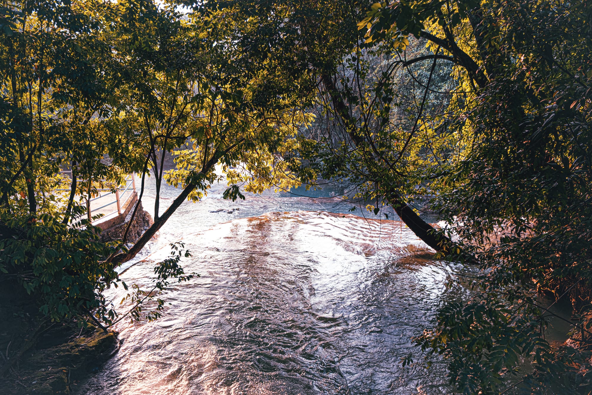 Cascadas Roberto Barrios waterfalls near Palenque, Chiapas, Mexico, jungle river flowing over limestone cascades, shaded waterfall pools surrounded by dense forest, Roberto Barrios waterfalls walking paths and natural swimming areas near Palenque