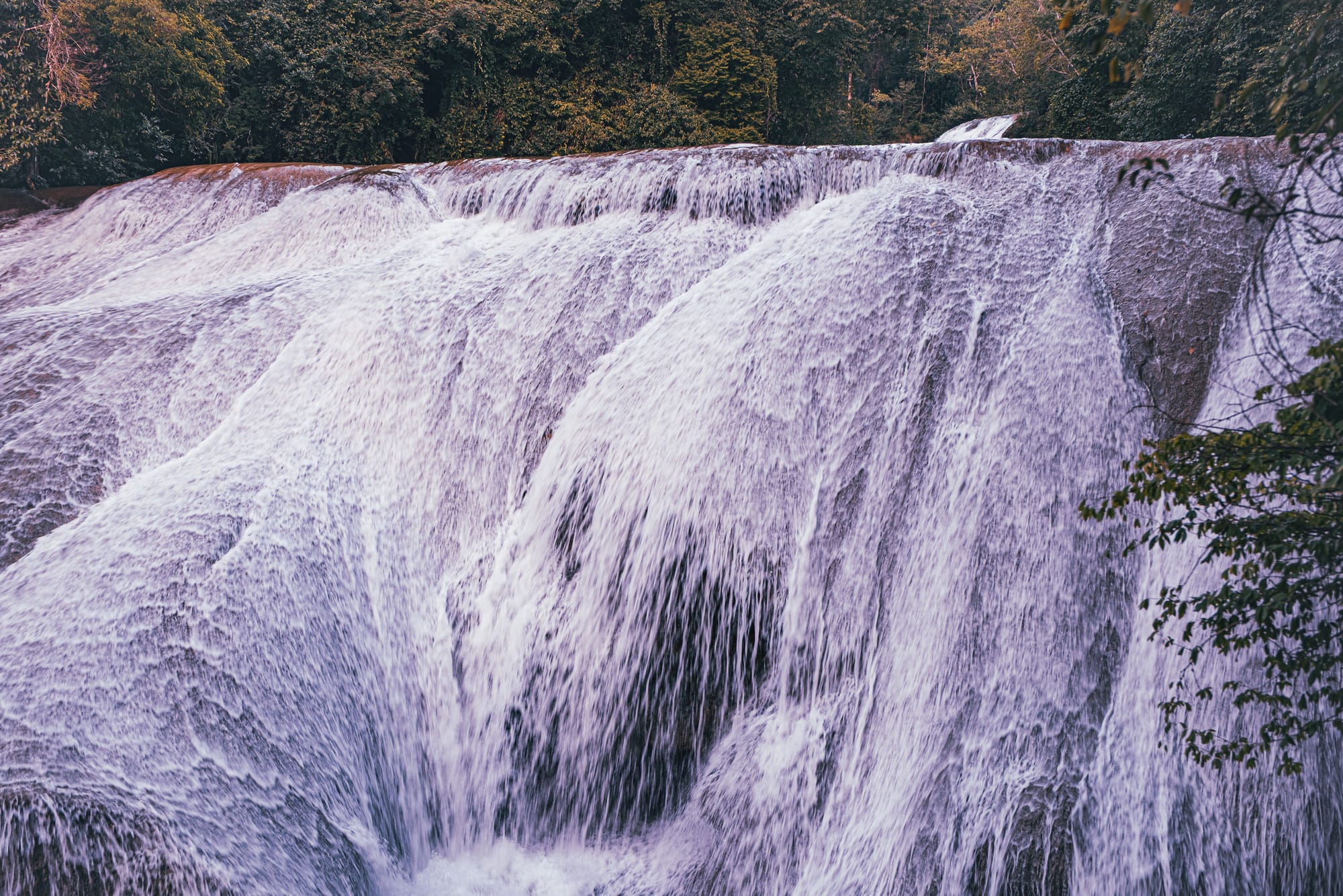 Cascadas Roberto Barrios waterfalls near Palenque, Chiapas, Mexico, wide sloping limestone waterfall with heavy flowing water, smooth rock cascades surrounded by jungle, Roberto Barrios waterfalls walkable cascades and swimming area near Palenque
