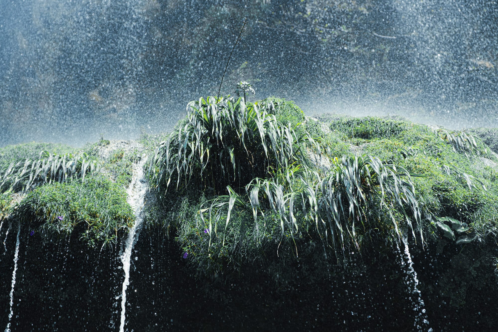 Close-up of the moss-covered “mushroom” waterfall in Sumidero Canyon, with water spraying down over lush green vegetation and dripping from the mineral formations