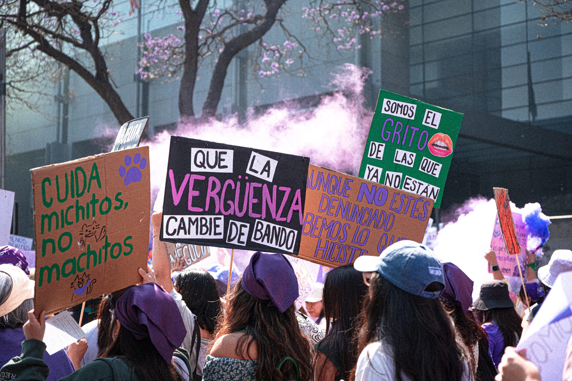 Crowd of women holding feminist protest signs during the 8M feminist march in Mexico City with purple smoke in the background