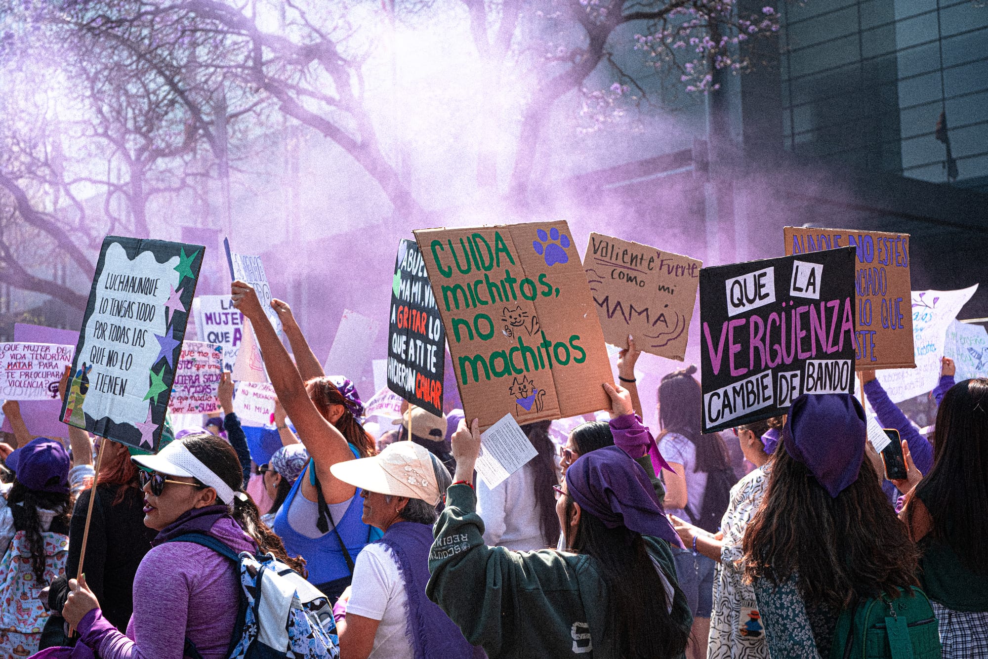 Feminist protesters holding signs during the 8M march in Mexico City with purple smoke in the air protesting femicide and gender violence