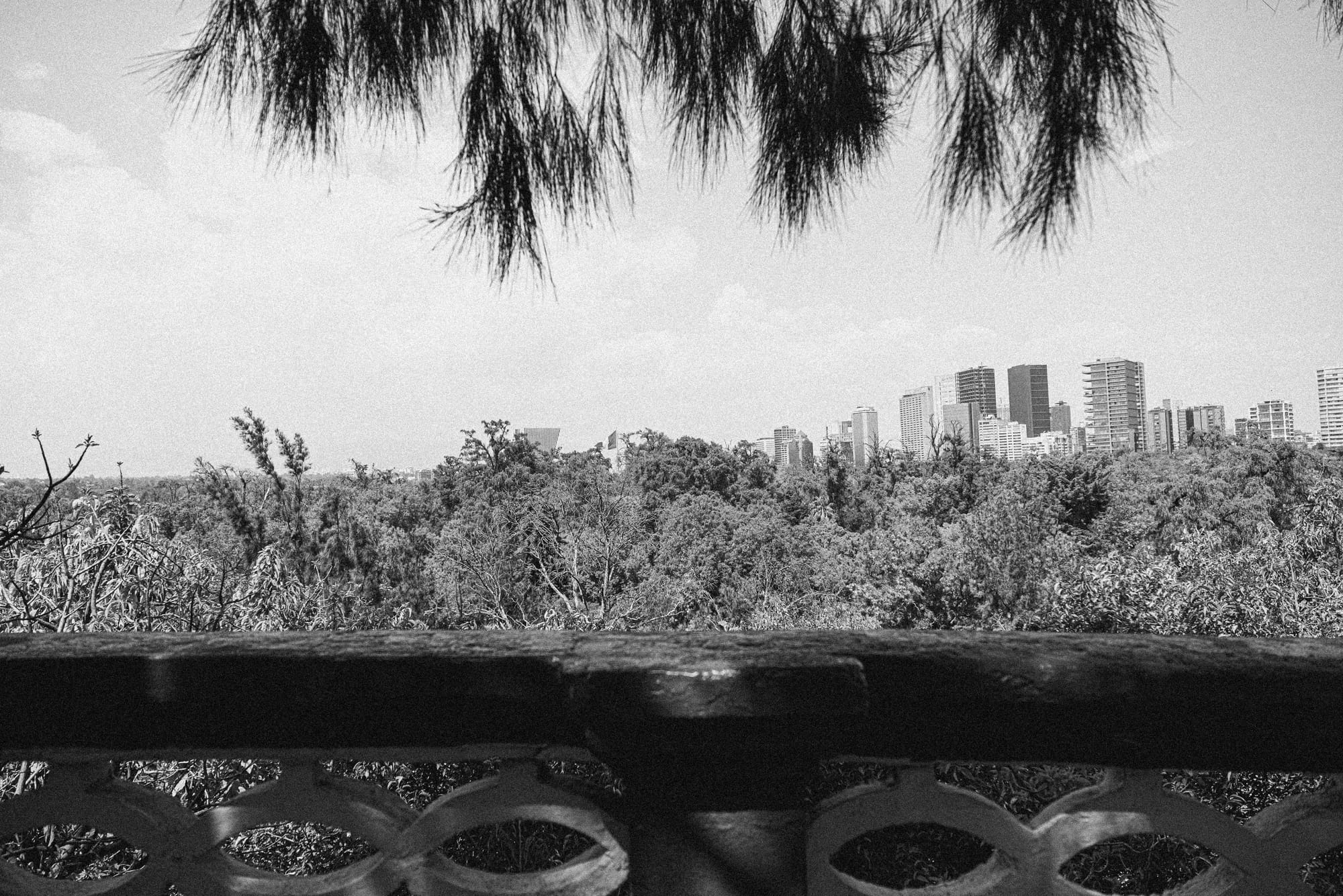 Chapultepec Castle Mexico City view over Chapultepec Park trees with skyline in the distance