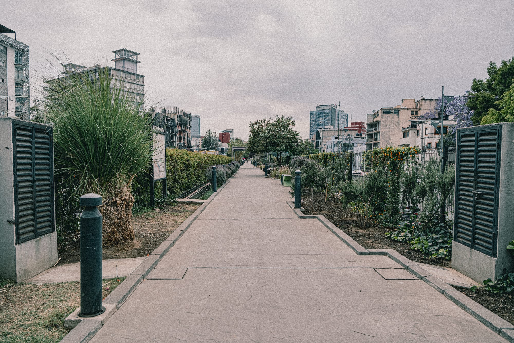 The park cuts through the center of the highway