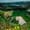 A sweeping view of geometric green and tan farm fields framed by volcanic cliffs and the blue-green lake of Sete Cidades in the distance, with wildflowers and thick foliage in the foreground