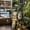 Art studio corner at Baan Kang Wat in Chiang Mai with cloud paintings on display, a black ornate mirror, framed sketches, and lush potted plants surrounding the space