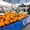 Pile of orange-striped Kandil karpuz (Turkish winter melons) for sale at Antalya’s Friday Market under market umbrellas