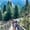 People walking down a wooden bridge surrounded by tall pine trees in the Pirin Mountains near Bansko, Bulgaria, on a bright summer day