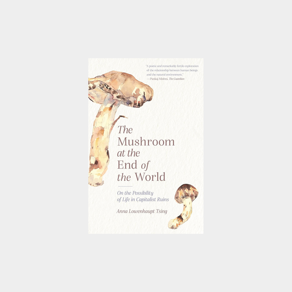 The Mushroom at the End of the World